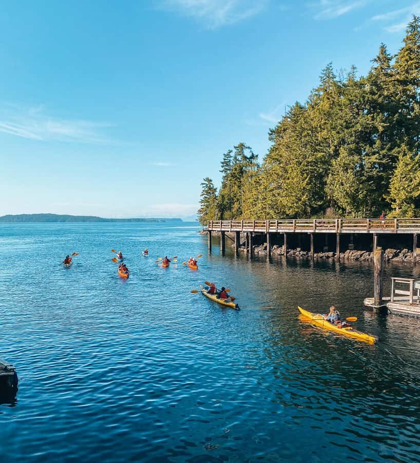 Telegraph Cove: 2-Hour Day or Evening Kayaking Tour - Key things to know before your Telegraph Cove paddle