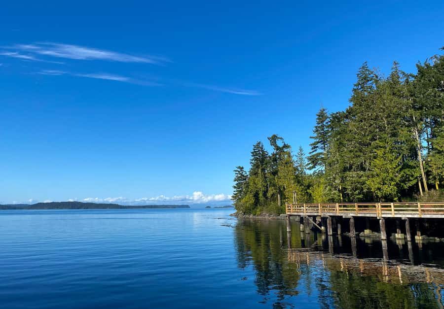 Telegraph Cove: 2-Hour Day or Evening Kayaking Tour - Telegraph Cove by kayak: why this 2 hours feels like more