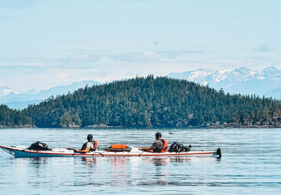 Telegraph Cove: 2-Hour Day or Evening Kayaking Tour - The first minutes on the water: calm waters and real navigation skills
