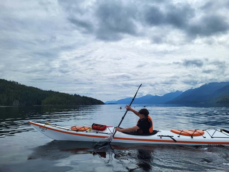 Telegraph Cove: 2-Hour Day or Evening Kayaking Tour - Wildlife odds at sunset: what you might see and when