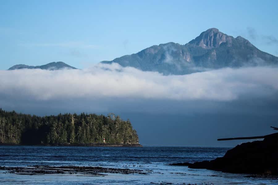 Telegraph Cove: 2-Hour Day or Evening Kayaking Tour - The guide experience: information that actually helps you see more
