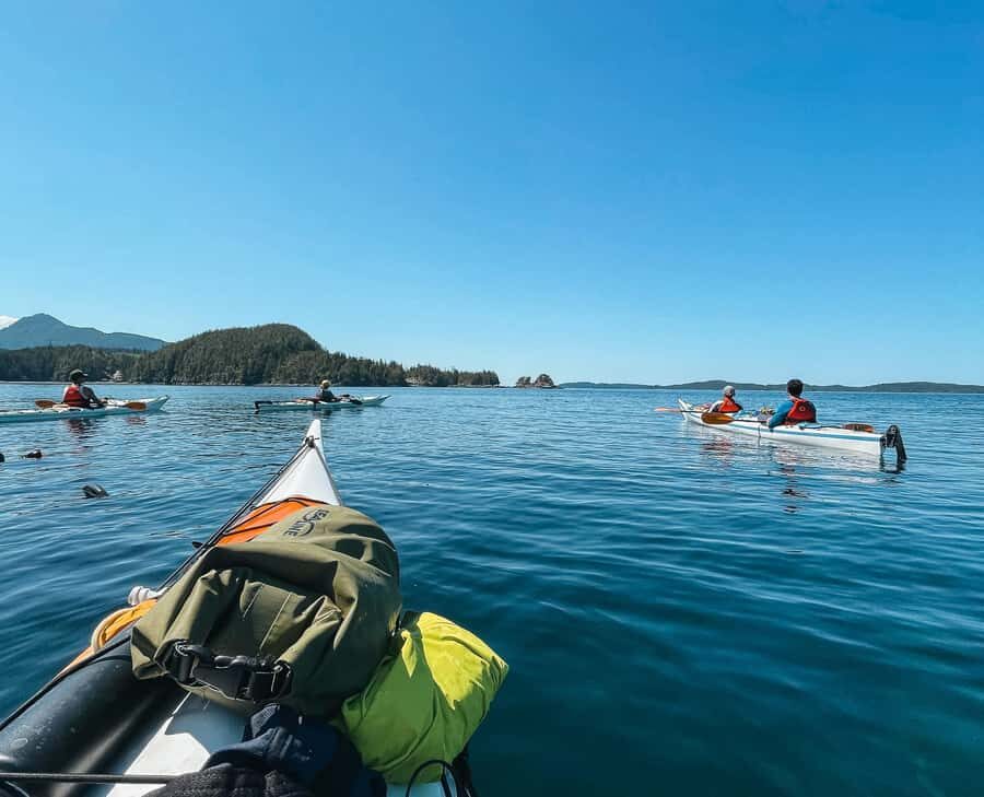 Telegraph Cove: 2-Hour Day or Evening Kayaking Tour - Meeting the crew at 24 Boardwalk and getting outfitted