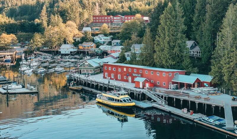 Telegraph Cove: 3-Hour Whale Watching Tour in a Zodiac Boat - Telegraph Cove Adventure Centre: what happens before you hit the water