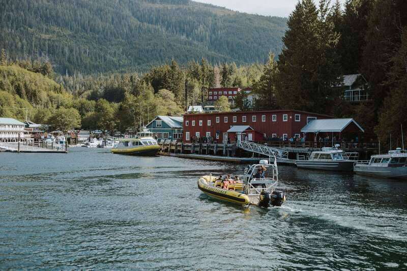 Telegraph Cove: 3-Hour Whale Watching Tour in a Zodiac Boat - The Zodiac ride: small boat energy with room for everyone