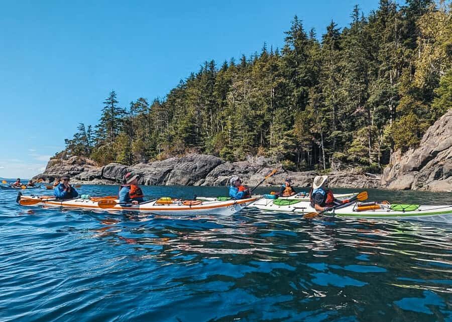 Telegraph Cove: Day Trip Kayaking Tour - Telegraph Cove Day Trip Kayaking: Johnstone Strait’s “wow” factor