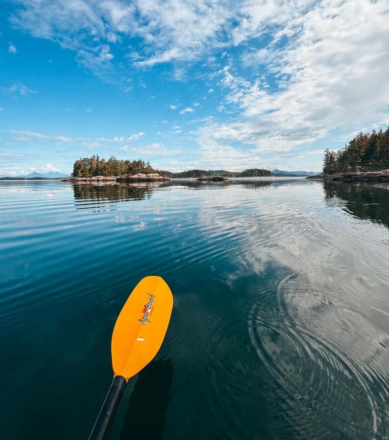 Telegraph Cove: Day Trip Kayaking Tour - Twilight paddle and mountain views you don’t get from shore