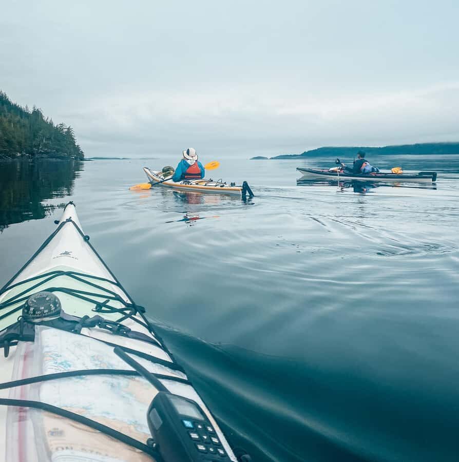 Telegraph Cove: Full-Day Trip Kayaking Tour - Beaches, coastal shallows, and bull kelp forests