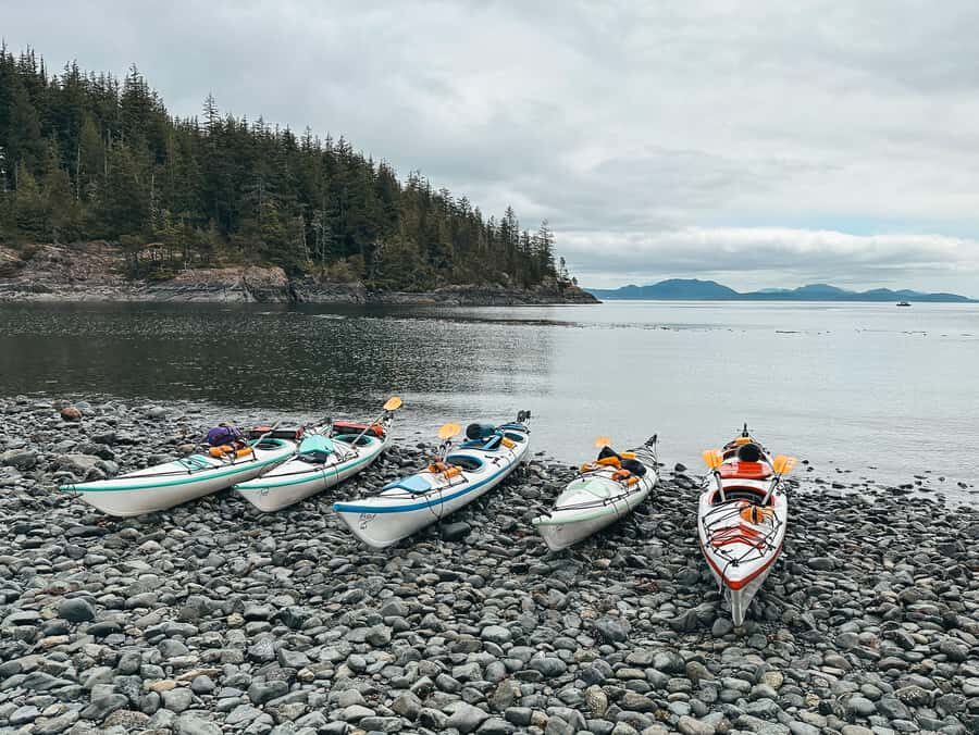 Telegraph Cove: Full-Day Trip Kayaking Tour - Guides and gear: what you’re really paying for at $160