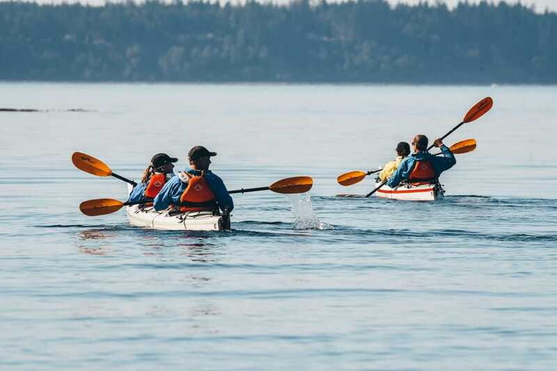 Telegraph Cove: Full-Day Trip Kayaking Tour - What to bring (and what to skip) for a smooth day