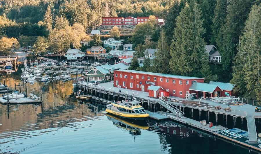Telegraph Cove: Full-Day Trip Kayaking Tour - Four hours of paddling in a 6-hour day: how the timing works