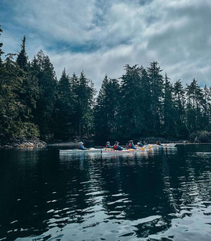 Telegraph Cove: Half-Day Kayaking Tour - Johnstone Strait kayaking: why it feels like a living classroom