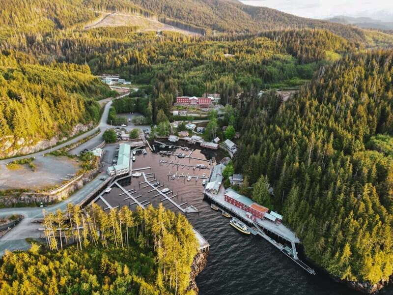 Telegraph Cove: Half-Day Kayaking Tour - The guide makes it: what Phoebe and Jan bring to the water