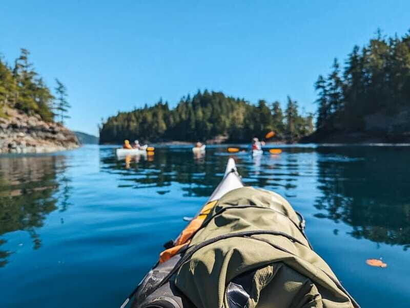 Telegraph Cove: Half-Day Kayaking Tour - Price: is $129 for 4 hours worth it?