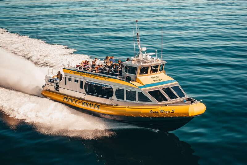 Telegraph Cove: Whale Watching Adventure with Free Photos - Telegraph Cove to Johnstone Strait: why this route matters