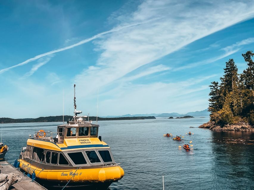 Telegraph Cove: Whale Watching Adventure with Free Photos - What to wear so the cold doesn’t steal your attention
