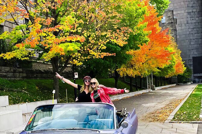 The 1-Hour Convertible Cadillac Old-Montréal History Tour SHARED - Top-Down Montréal: What This One-Hour Ride Actually Delivers