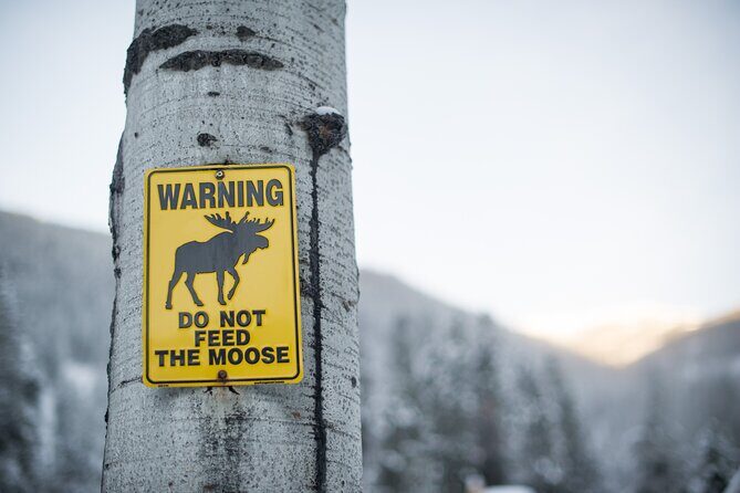 The BANFF NATURE Walk - 2hr Adventure - Photo Stops: How to Get Great Pictures Without Feeling Rushed