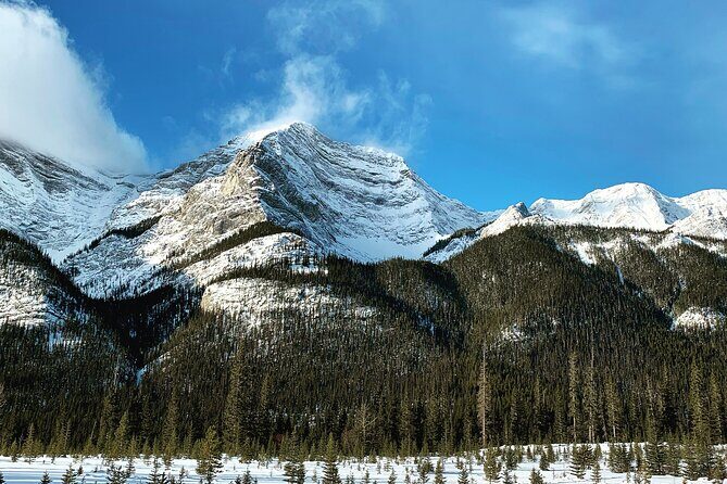 The BANFF NATURE Walk - 2hr Adventure - Getting Help on Icy Days: Poles and Ice Cleats