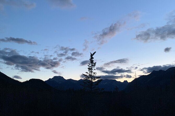 The Banff Stargazing Tour - 2hr Walking Tour - Getting ready: ice cleats, headlamps, and why it matters