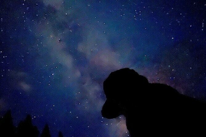 The Banff Stargazing Tour - 2hr Walking Tour - Northern Lights: a bonus you might be lucky for