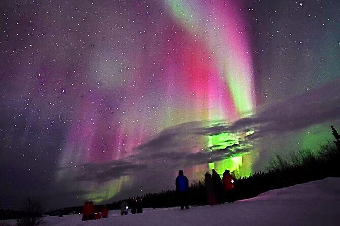 The Best Aurora Tour - Key things I’d circle before you book