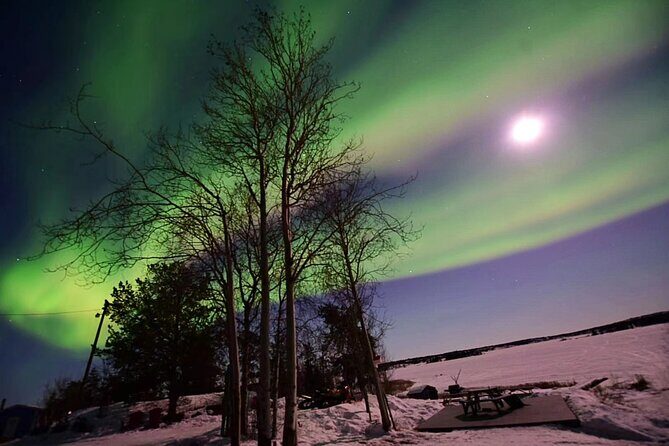 The Best Aurora Tour - Photography help that actually helps: shots, downloads, and asking the right questions