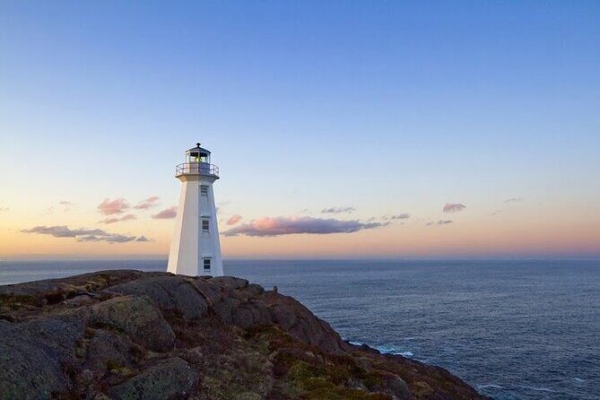 The Best of St. John's Private Walking Tour - Key highlights worth marking on your map