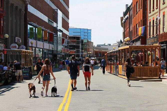 The Best of St. John's Private Walking Tour - A tight route through St. John’s core landmarks
