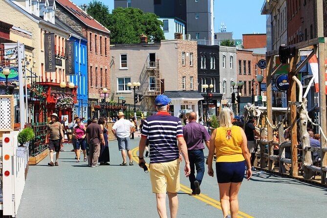 The Best of St. John's Private Walking Tour - Harbourside Park and the Newfoundland dog and Labrador Retriever