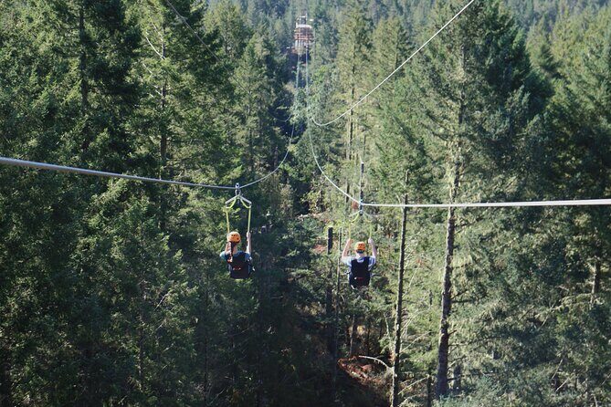 The Big Zip Experience - Key Things I’d Watch For Before You Go