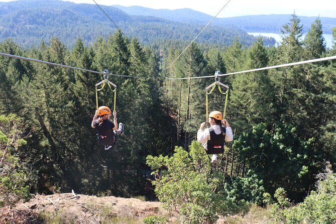 The Big Zip Experience - Big Zip in Sooke Basin: What You’re Actually Buying