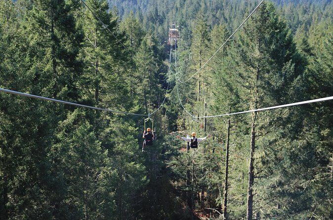 The Big Zip Experience - Gear, Safety, and the Alexé + Avery Factor