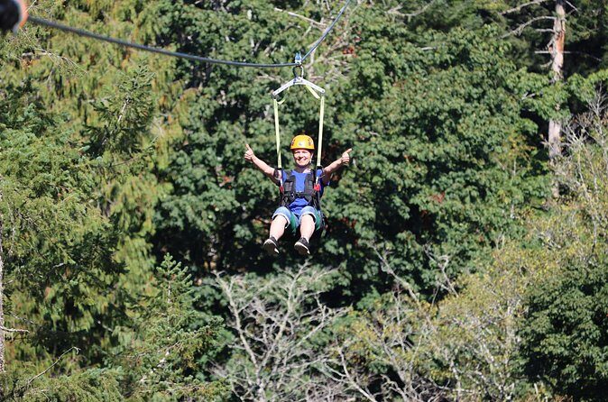 The Big Zip Experience - The Zips Themselves: Side-by-Side Runs at Up to 50 km/h