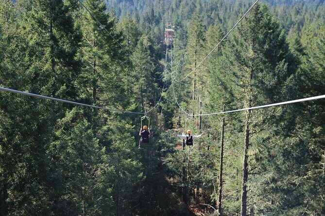 The Big Zip Experience - Who This Fits Best (and Who Should Reconsider)