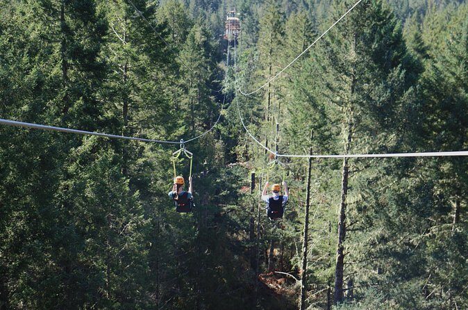 The Big Zip Experience - View Factor Over Sooke Basin: What You’ll Remember Most