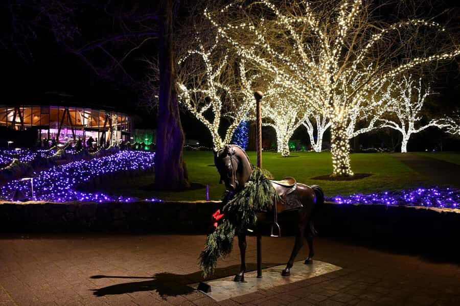 The Magic of Christmas at the Butchart Gardens - The Twelve Days of Christmas and evergreen swags: what to look for first