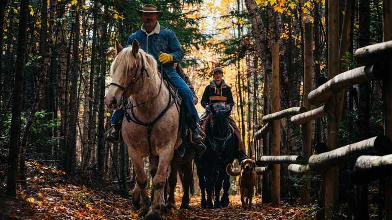 The Montagnarde: Guided horseback ride on mountain trails. - Price and Value: Why $122 Can Be Fair for a Horse Experience