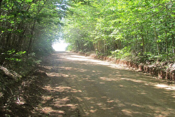 The Ultimate Anne of Green Gables Private Tour - Silver Bush: the Anne of Green Gables Museum stop that needs its time
