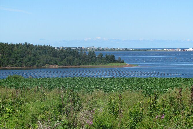 The Ultimate Anne of Green Gables Private Tour - Green Gables Heritage site: your main event in Cavendish