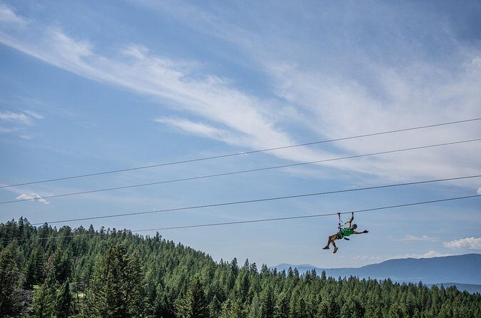 Thrilling 2-Hour Zipline Tour in Radium Hot Springs - Price and Value: Is $85.30 Worth It?