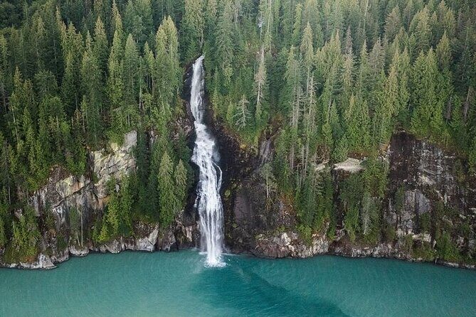 Toba Bears and Wilderness Grizzly Bear Viewing in Campbell River - Vancouver Island Wildlife: Why This Campbell River Day Works