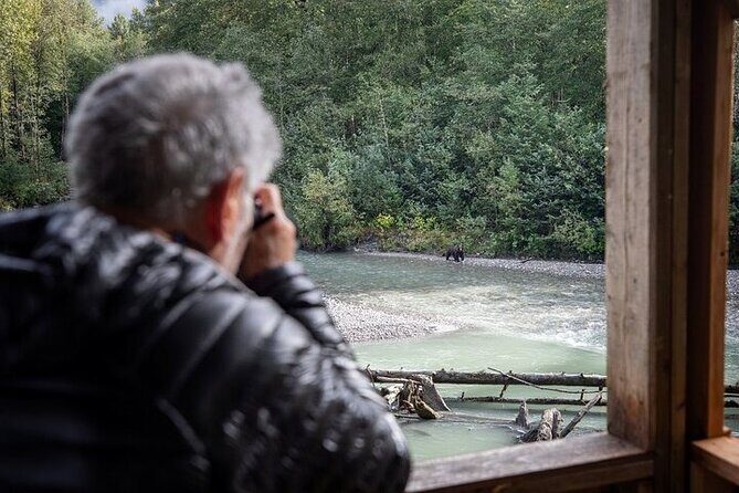 Toba Bears and Wilderness Grizzly Bear Viewing in Campbell River - Price and Value at $459.54: Is This Worth It?