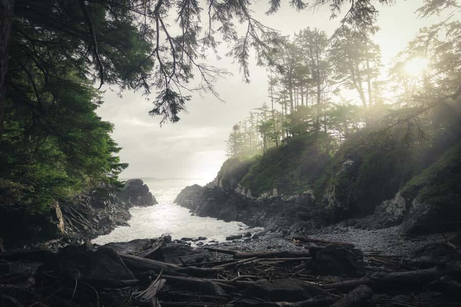 Tofino: Hot Springs Cove Tour with Wildlife Cruise - Cruising Clayoquot Sound on a covered 12-seat cabin cruiser