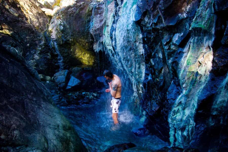 Tofino: Hot Springs Cove Tour with Wildlife Cruise - Wildlife spotting rules: how to spot sea otters, eagles, and more