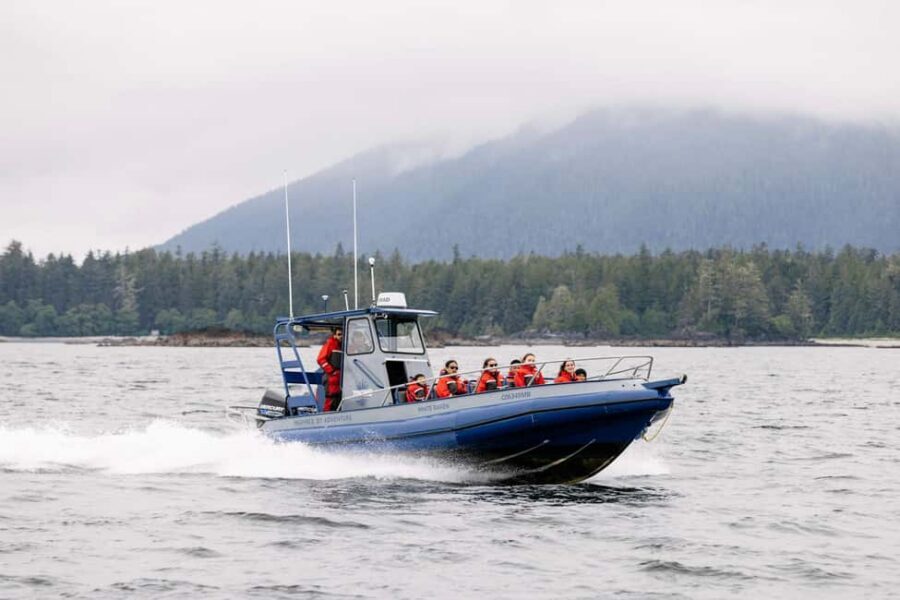 Tofino: Whale Watching Tour with Nature Guide - Whiteraven Zodiac or Blackfish covered boat: which one fits your comfort level