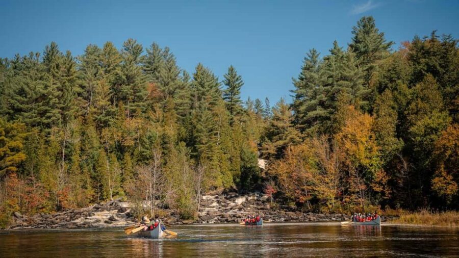 Toronto: Algonquin Park and Ragged Falls Day Trip - Toronto to Algonquin in a 14-person mini-bus