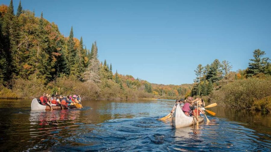 Toronto: Algonquin Park and Ragged Falls Day Trip - Algonquin Visitor Center and the lookout hike