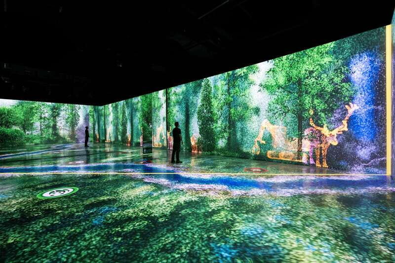 Toronto: Arcadia Earth, Immersive Experience Anytime Ticket - Key highlights worth planning for
