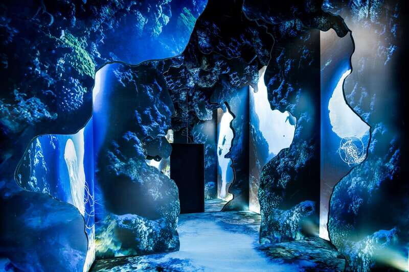 Toronto: Arcadia Earth, Immersive Experience Anytime Ticket - Finding the place fast: The Well, 486 Front Street West