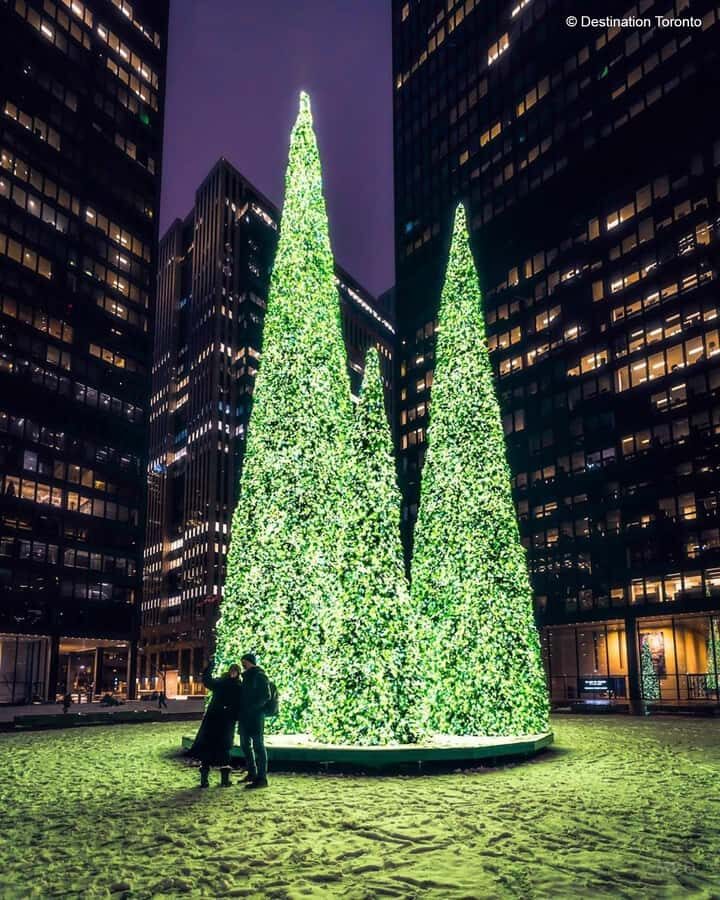 Toronto: Guided City Sightseeing Festive Lights Bus Tour - Who this festive lights bus tour suits best